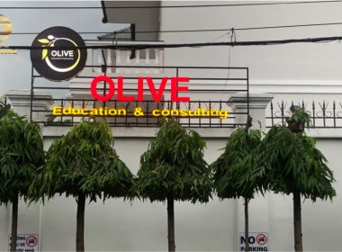  BẢNG HIỆU OLIVE EDUCATION & CONSULTING