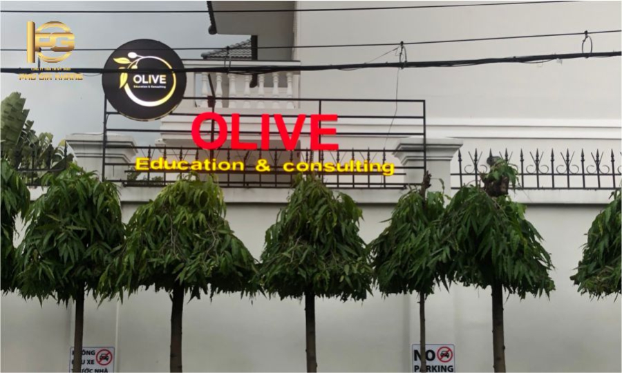  BẢNG HIỆU OLIVE EDUCATION & CONSULTING